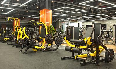 Gyms and Health Clubs