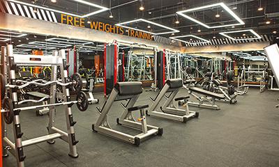 Gyms and Health Clubs