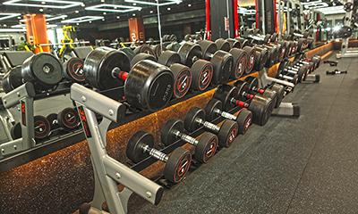 Gyms and Health Clubs