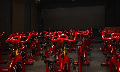 Gyms and Health Clubs