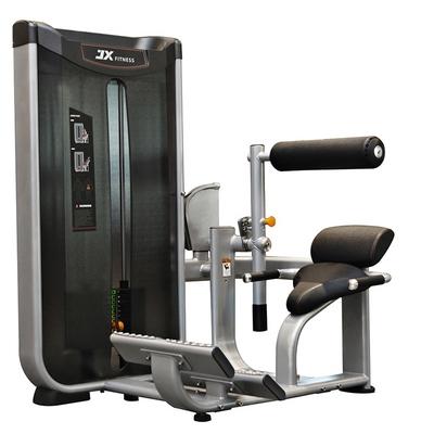 J300-08 Selectorized Back Extension Machine